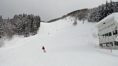 Landscapes snow winter