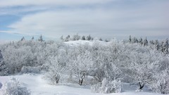 Landscapes snow winter
