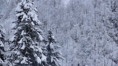 Landscapes snow winter