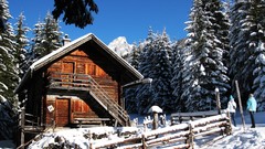 Landscapes snow winter