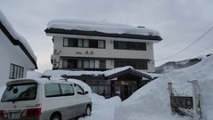 Landscapes snow winter