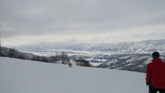 Landscapes snow winter