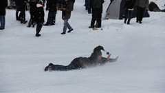 Landscapes snow winter