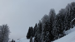 Landscapes snow winter