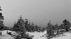 Landscapes snow winter