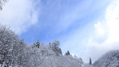 Landscapes snow winter