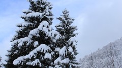 Landscapes snow winter