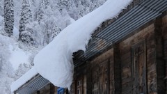 Landscapes snow winter