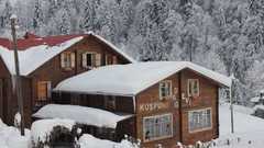 Landscapes snow winter