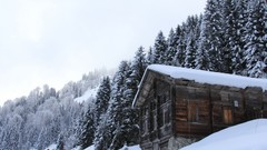 Landscapes snow winter