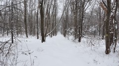 Landscapes snow winter