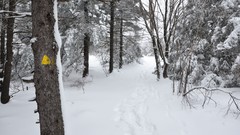 Landscapes snow winter