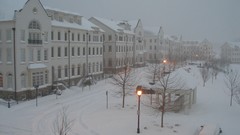 Landscapes snow winter