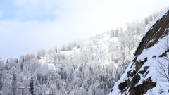 Landscapes snow winter