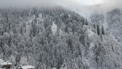 Landscapes snow winter