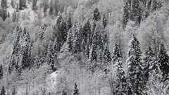 Landscapes snow winter