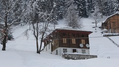 Landscapes snow winter