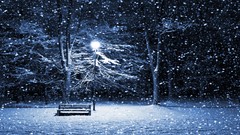 Landscapes snow winter bench