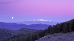 Landscapes snow winter forests