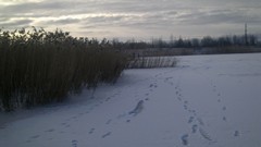Landscapes snow winter frozen lake