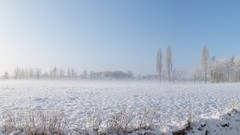 Landscapes snow winter holland The Netherlands Enschede