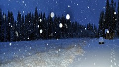 Landscapes snow winter meadows guard forests National philip j 