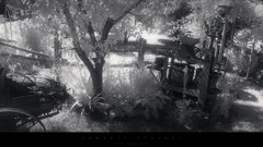 Landscapes snow winter monochrome