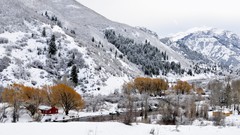 Landscapes snow winter Mountains