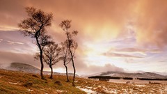 Landscapes snow winter Mountains