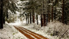 Landscapes snow winter roads