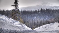 Landscapes snow winter snow-white