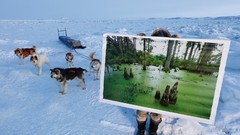 Landscapes South Carolina Earth Arctic national geographic