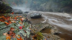 Landscapes South Carolina Earth national geographic