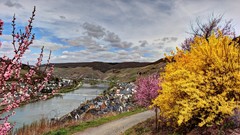 Landscapes spring paths