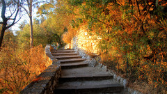 Landscapes stairways