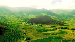 Landscapes steppe fog nature