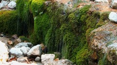 Landscapes stones moss rocks