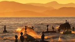 Landscapes stones nature