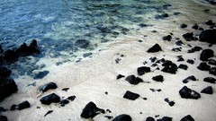 Landscapes stones nature Beaches