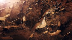 Landscapes stones nature Desktopography