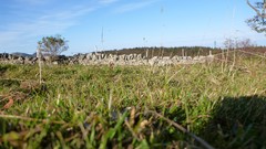 Landscapes stones nature grass wall summer