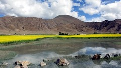 Landscapes stones nature Mountains dandelions