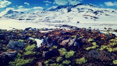 Landscapes stones nature snow Mountains clouds Plants rocks 