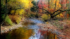 Landscapes stones nature Trees autumn Wood