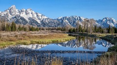 Landscapes stones nature Trees grass snow water Mountains Earth 