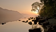 Landscapes stones nature Trees light coast surface evening