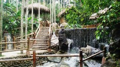 Landscapes stones nature Trees protection Garden falls streams