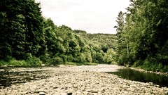 Landscapes stones nature Trees water Green rivers forests