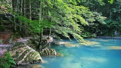 Landscapes stones nature Trees water hills Green moss 