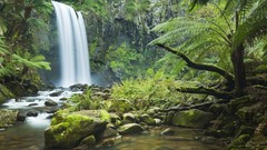 Landscapes stones nature vegetation moss jungle falls